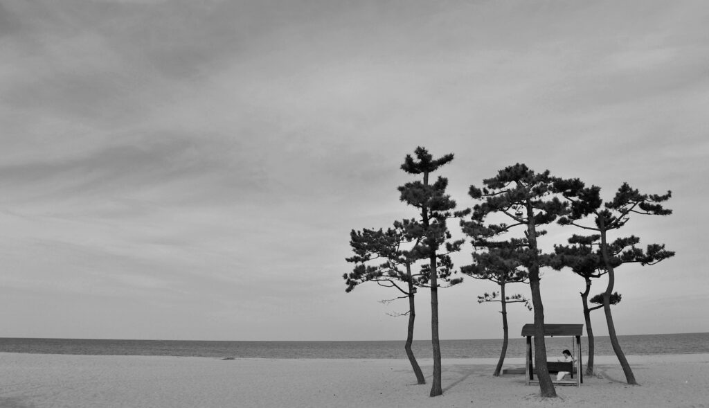 solitude in the beach