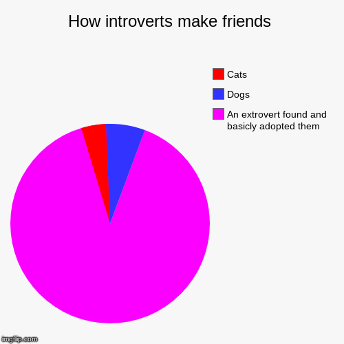 how introverts make friends