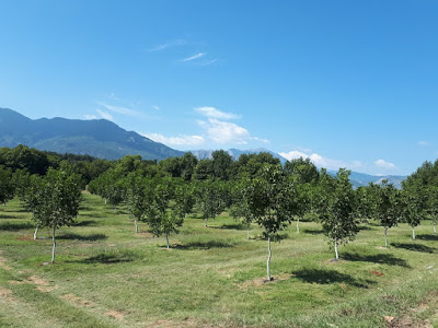 Από τραπεζικός υπάλληλος αγρότισσα