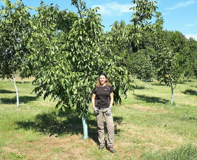Από τραπεζικός υπάλληλος αγρότισσα